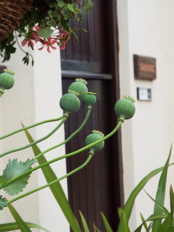 The Stableyard Apartment Bedford Bilik gambar